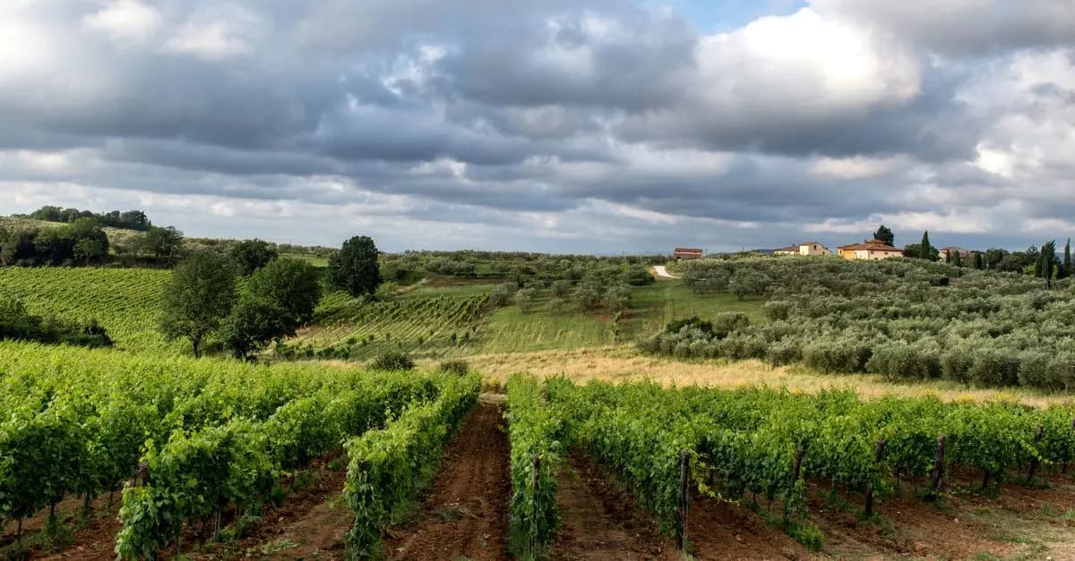Les meilleures destinations pour le slow travel