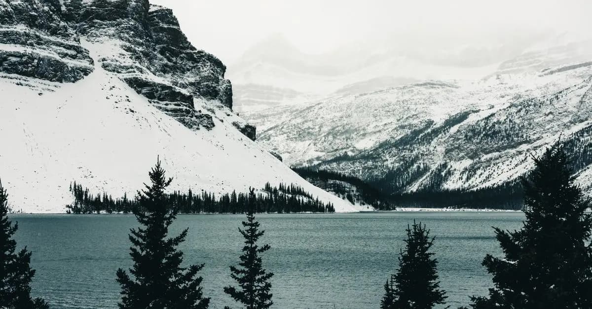 Découverte des plus beaux parcs nationaux à visiter