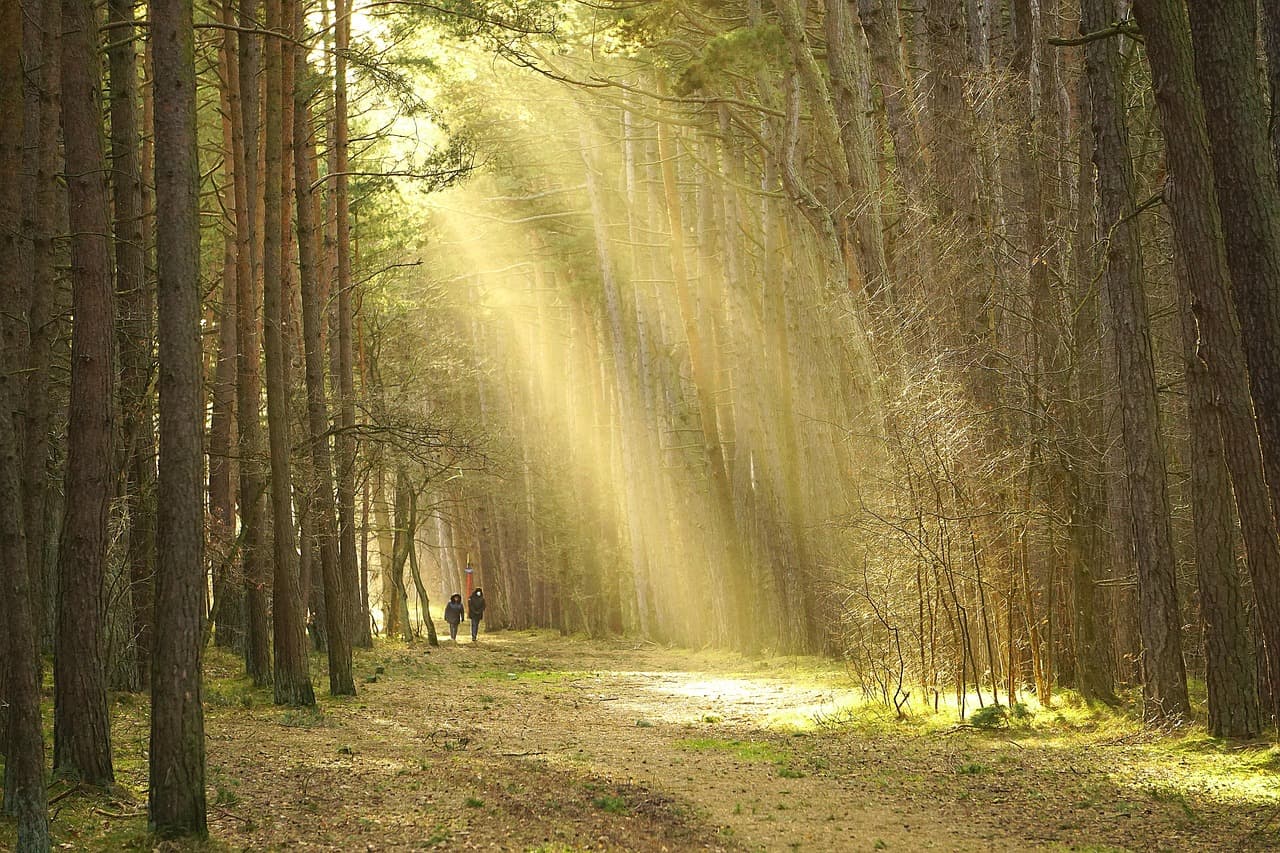 Les meilleures expériences de voyage en mode aventure